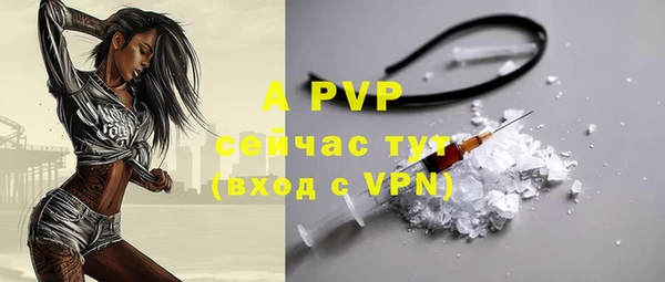 ECSTASY Кинешма