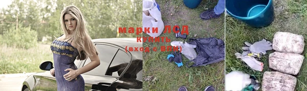 сатива Санкт-Петербург