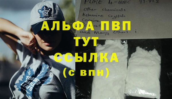 ECSTASY Кинешма