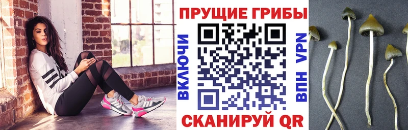 Псилоцибиновые грибы мухоморы  Курлово 